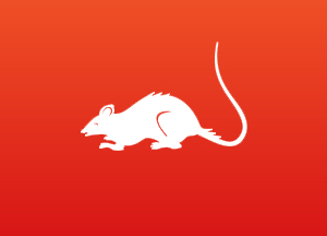 deratisation - - https://stopnuisibles.fr